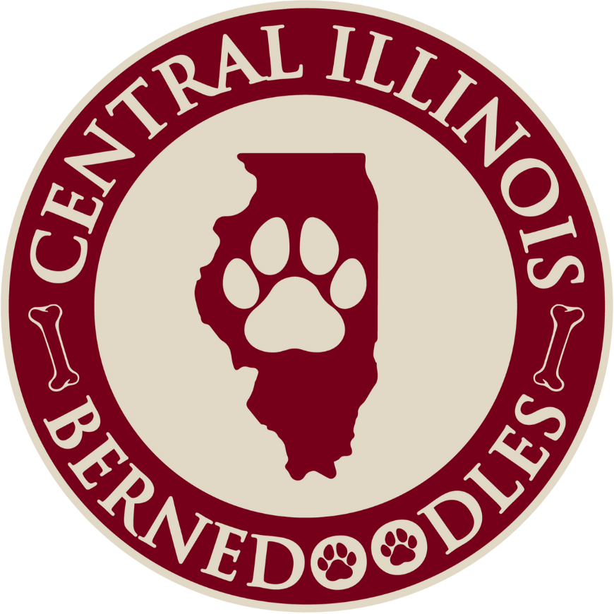 Central Illinois Bernedoodles Logo