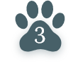 Reservation Process 3 Reservation Process 3
