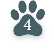 Reservation Process 4 Reservation Process 4
